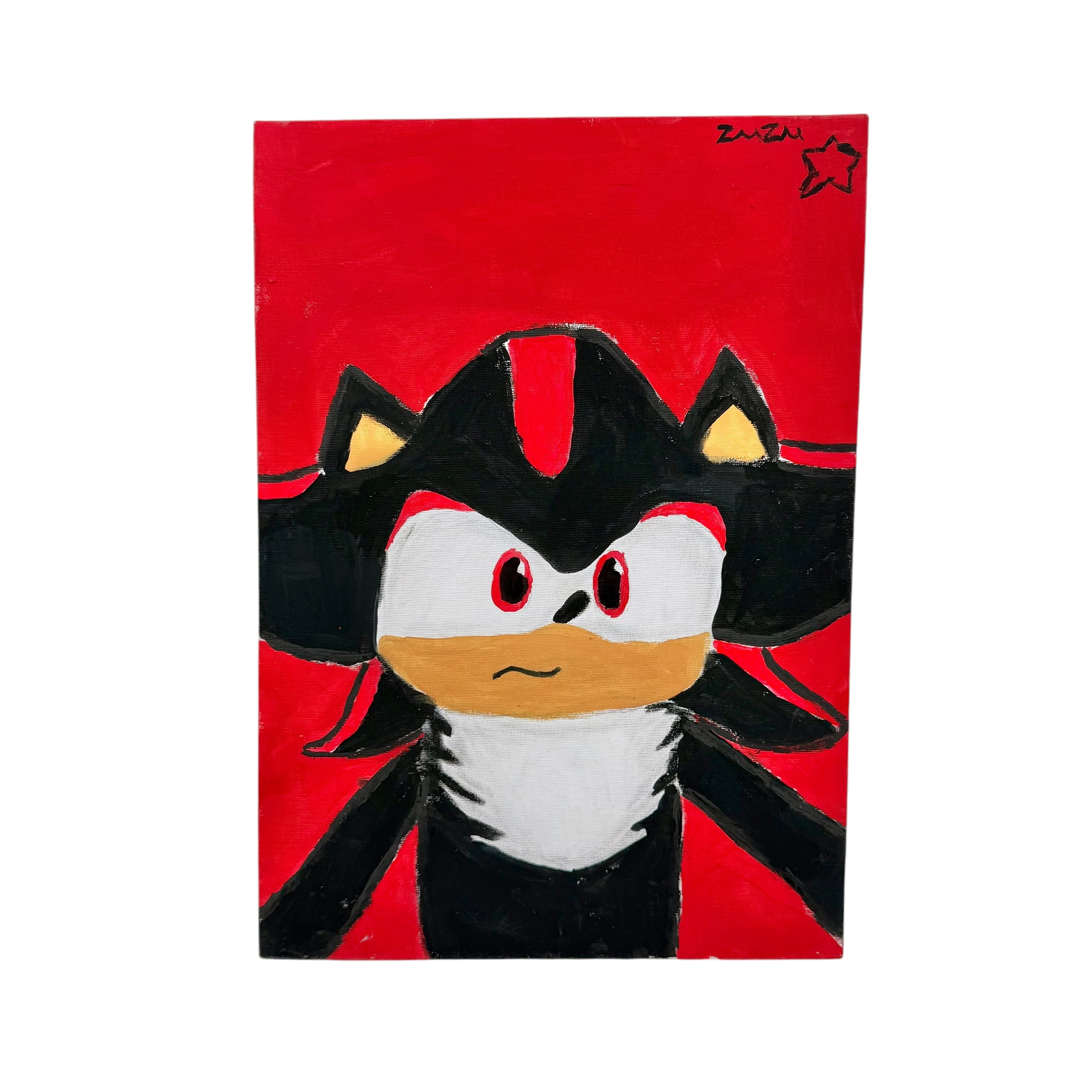 Sonic Shadow