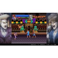 Double Dragon Collection Nintendo Switch