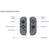 Nintendo Switch JoyCon Gri Renk L R Sol ve Sağ Joy-Con